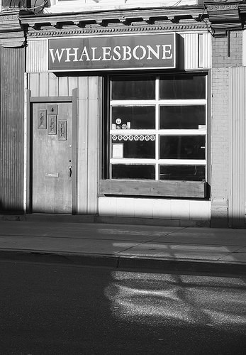 whalesbone