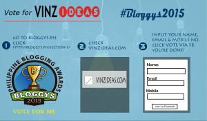 vinzideas.com