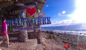 whale-shark-oslob