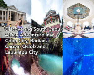 cebu city article