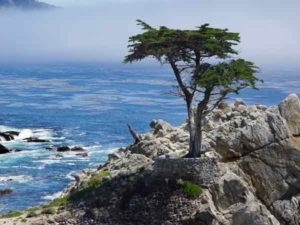 monterey california
