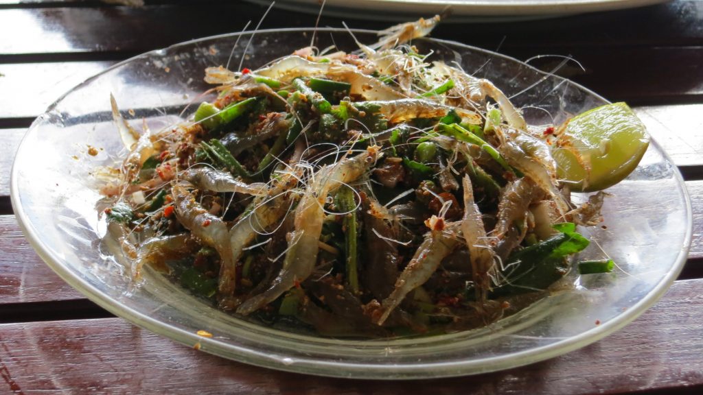 Dancing Shrimp Salad