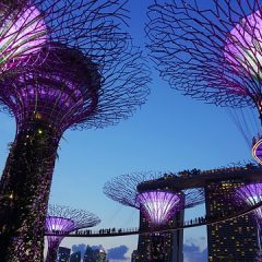Traveling to Singapore on a Budget