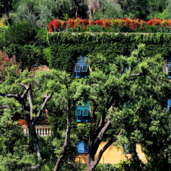 5 Garden Ideas From Around The World You Should Steal
