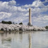 5 Must-Do Experiences for a First Time Washington DC Visitor
