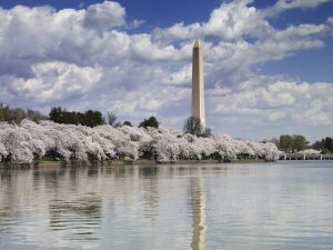 washington