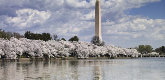 5 Must-Do Experiences for a First Time Washington DC Visitor