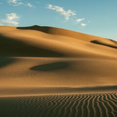 Gobi Desert Travel Tips for Mongolia