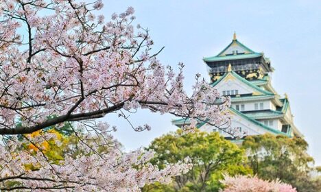 Planning Your Next Travel Vacation to Japan Using Custom Travel Packages
