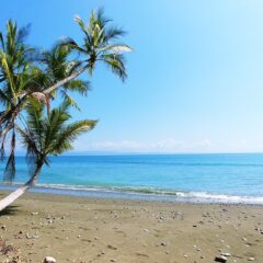 A Comprehensive Guide to Costa Rica Travel