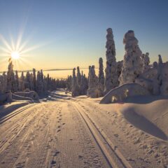 Hints and Tips for Traveling to Finland