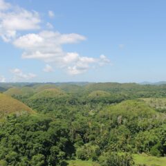 Bohol Travel Guide