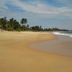 The 7 Best Things to do in Hikkaduwa, Sri Lanka- A Complete Guide