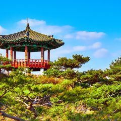 Amazing travel tips for South Korea