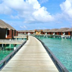 Visit The Maldives with the Complete Guide To Visiting The Maldives