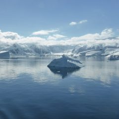 Exploring the Frozen Continent: Essential Travel Tips for Visiting Antarctica