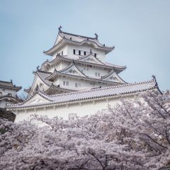 The Best Places to Visit Around the World in March