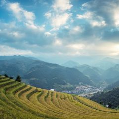 Cambodia Travel Guide