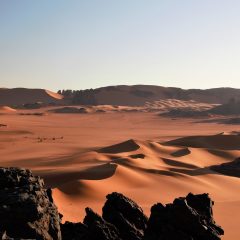 Algeria: A Fascinating Destination with Endless Opportunities