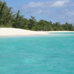 Exploring the Hidden Gem of Timor-Leste: Travel Tips for an Authentic Experience