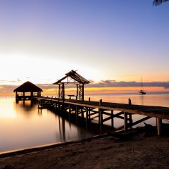 Belize: A Land of Beautiful Beaches and Diverse Wildlife