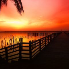 Discover the Beauty of Benin: Travel Tips for Your Trip