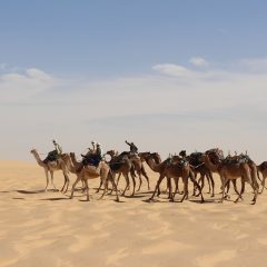 Off the Beaten Path: A Guide to Exploring Chad’s Natural and Cultural Treasures