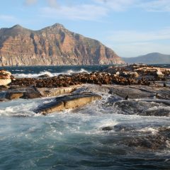 South Africa Travel Tips: A Guide to an Unforgettable African Adventure