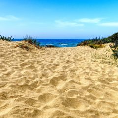 Discovering Dakhla: A Quick Travel Guide to Western Sahara’s Hidden Gem