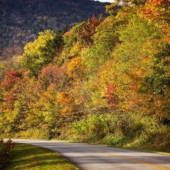 Exploring the Blue Ridge Parkway: A Travel Guide to Scenic Drives and Outdoor Adventures