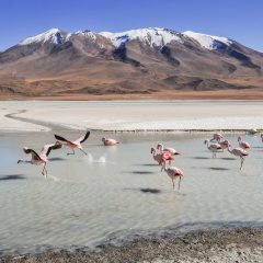 Bolivia Travel Tips: Exploring the Heart of South America