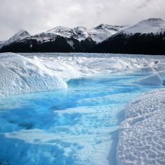Argentina: A South American Adventure