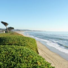 Explore the Best of California’s Central Coast: Your Monterey Travel Guide