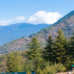 Discover the Enchantment of Paro Valley: A Comprehensive Guide to Traveling in Bhutan