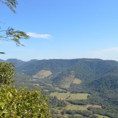 Paraguay Travel Guide