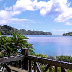 Discovering the Paradise of Palau: A Guide to Traveling in Palau