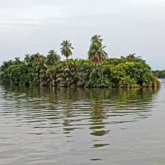 Gambia Travel Guide