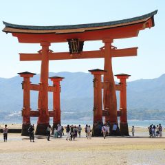 Discovering Miyajima: A Comprehensive Travel Guide to Access and Getting Around
