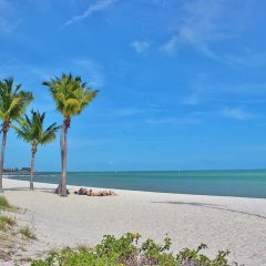 Escape to Paradise: Your Ultimate Key West Travel Guide to Beaches, History, and Outdoor Adventure