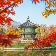 Korea Travel Tips