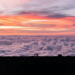 Maui Travel Guide