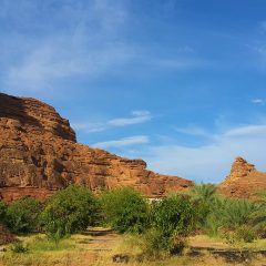 Full Travel Guide to AlUla, Saudi Arabia