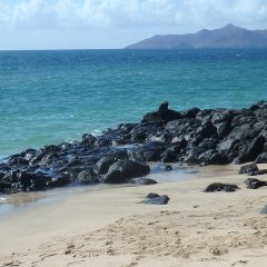 Discover the Beauty and Culture of the Comoros Islands