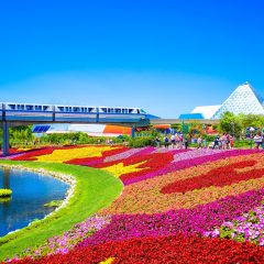 The Ultimate Travel Guide to Orlando, Florida
