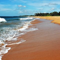 Sri Lanka Travel Tips: A Guide to Exploring the Island Nation