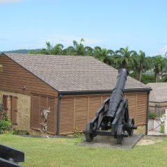 Trinidad and Tobago Travel Guide: Caribbean Paradise Awaits