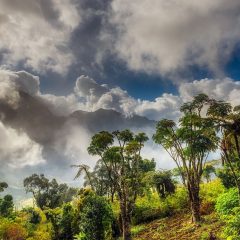 Burundi Travel Tips: A Guide to Discovering the Authentic African Experience