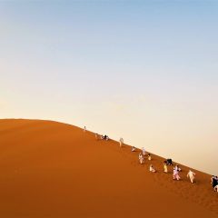 Western Sahara Travel Tips: What You Need to Know Before You Go