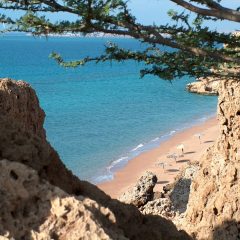 Exploring the Wonders of Djibouti: A Guide to the Land of Fire and Salt