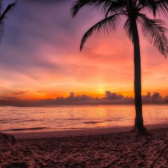 The Dominican Republic: A Tropical Paradise